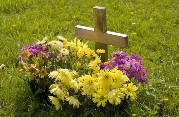 Private Burials in Maitland